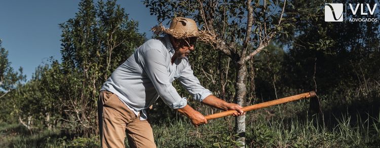 Seguro-desemprego para trabalhador rural safrista avança no Congresso 1 Imagem represnetando seguro-desemprego.