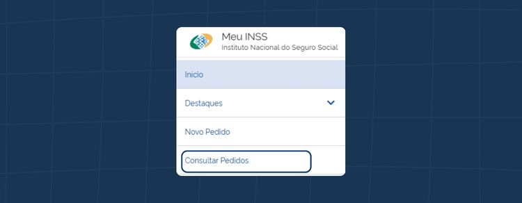 Como pedir aposentadoria especial no INSS? Guia (2025) 3 imagem representando consulta a pedidos inss