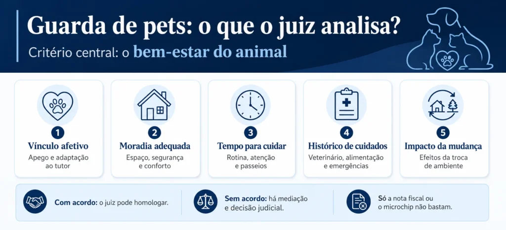 Guarda de pets na separação: quem fica com o animal? 2 Infográfico sobre os critérios usados pelo juiz para definir a guarda de pets.