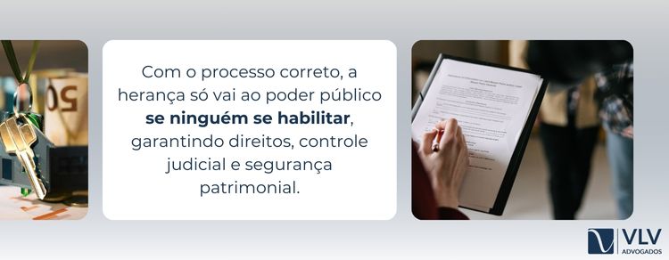 A lei estabelece uma ordem de vocação hereditária. Primeiro, herdam os descendentes, como filhos e netos, junto com o cônjuge.