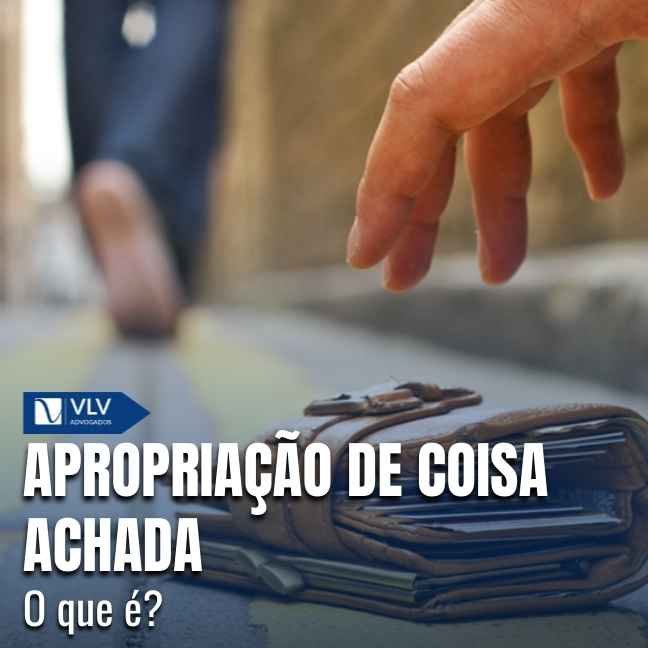 Criminal 15 Capas Cami 17