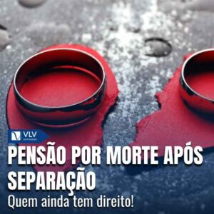 Capas Cami 2026 01 05T154747.424