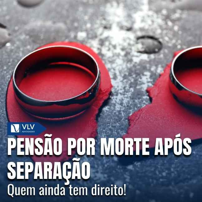 Capas Cami 2026 01 05T154747.424