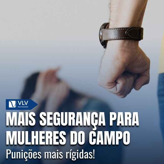 Capas Cami 2026 01 06T115416.483