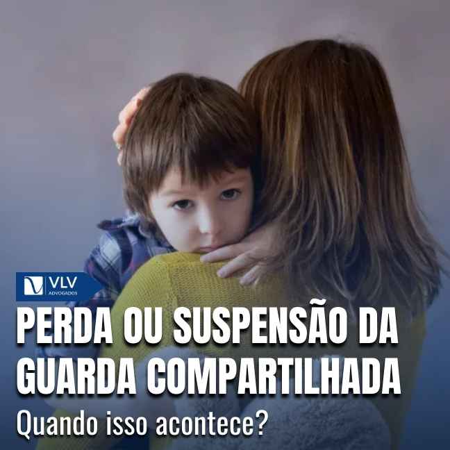 Blog 13 Capas Cami 2026 01 12T143806.668