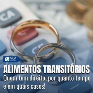 Capas Cami 2026 01 14T135958.724