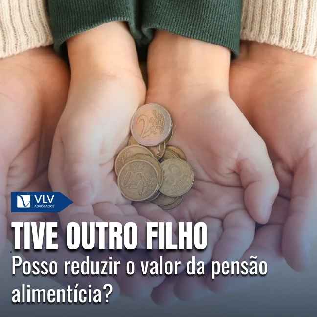 Capas Cami 2026 01 15T155318.386