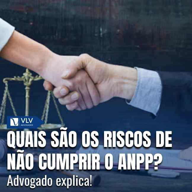 Capas Cami 2026 01 16T094608.443