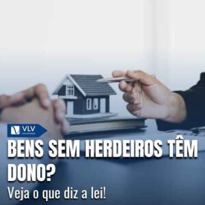 Capas Cami 2026 01 16T142443.058