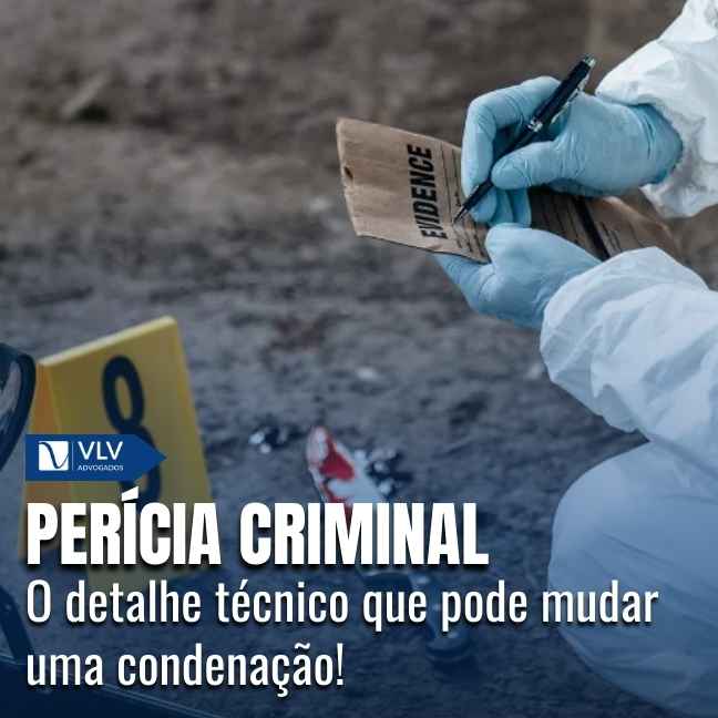 Capas Cami 2026 01 20T104727.838