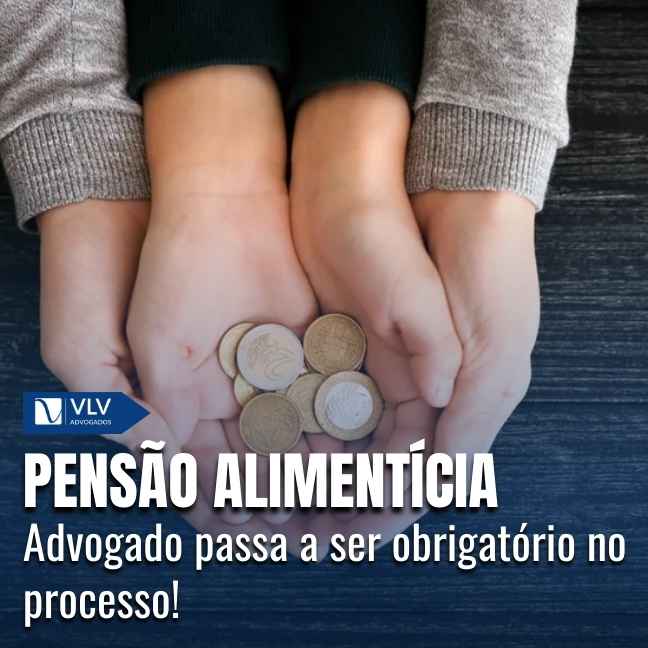 Capas Cami 2026 01 20T162137.297