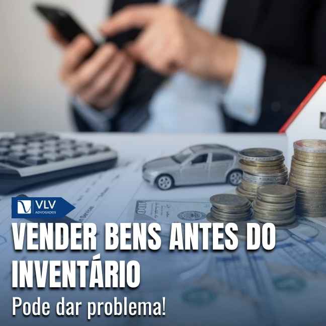 Família 24 Capas Cami 2026 01 26T141947.349