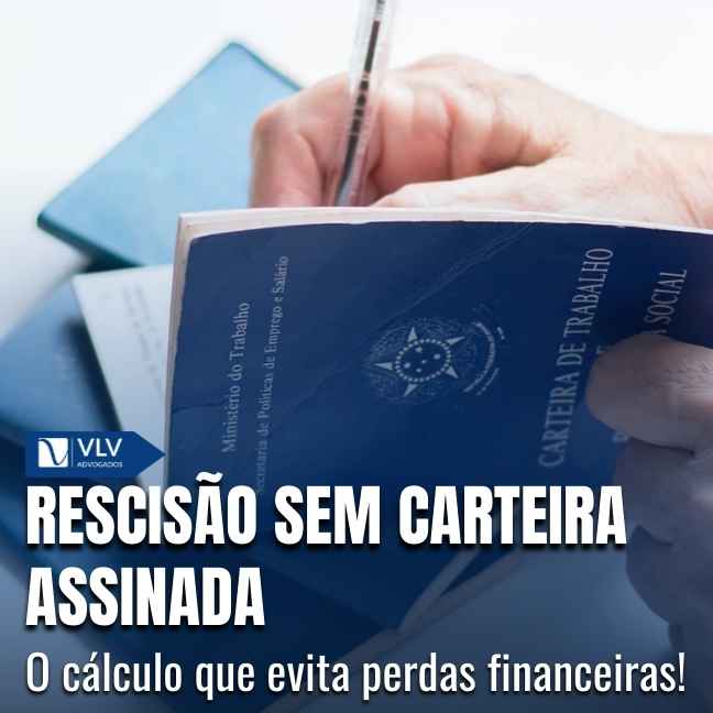 Capas Cami 2026 01 29T110829.059