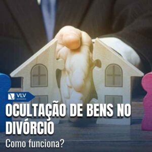 Capas Cami 2026 01 29T114805.186