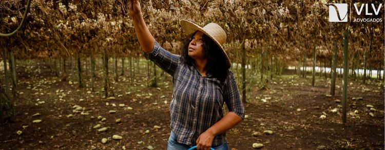 Imagem representando isenção de multa para trabalhador rural, benefício previdenciário.