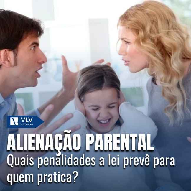 Blog 13 Capas Cami 2026 02 02T162900.631