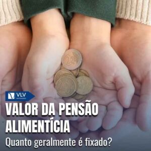 Família 17 Não existe um valor médio fixo de pensão alimentícia definido por lei no Brasil.