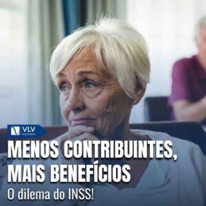 Capas Cami 2026 02 10T151146.017