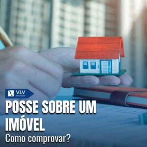 Capas Cami 2026 02 18T150929.701