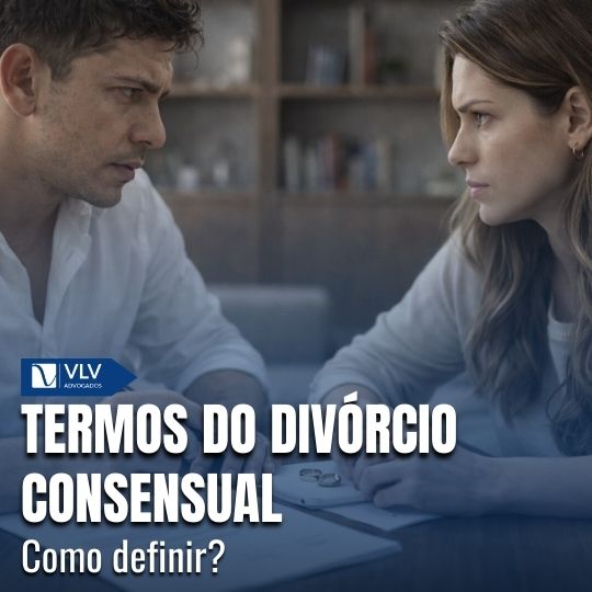 Blog 18 Capas Cami 2026 02 24T105524.069