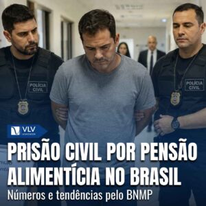 Família 11 Numeros de prisao civil por divida alimentar