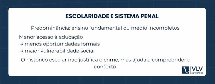 Perfil geral dos acusados no sistema penal brasileiro 2 O nível de escolaridade predominante entre os acusados costuma ser baixo, com grande número de pessoas que não concluíram o ensino fundamental ou médio.