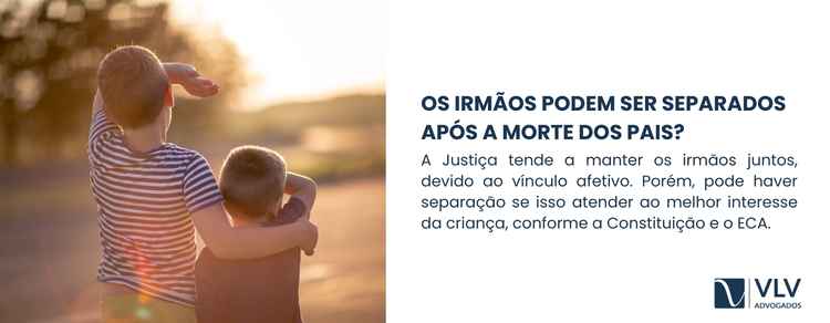 Guarda dos filhos em caso de morte dos pais 2 imagem explicando se irmãos podem ser separados no caso de morte dos pais