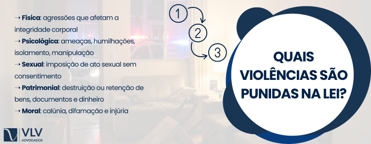 O que diz a lei Maria da Penha? Resumo completo! 2 imagem explicando quais violência se enquadram na lei