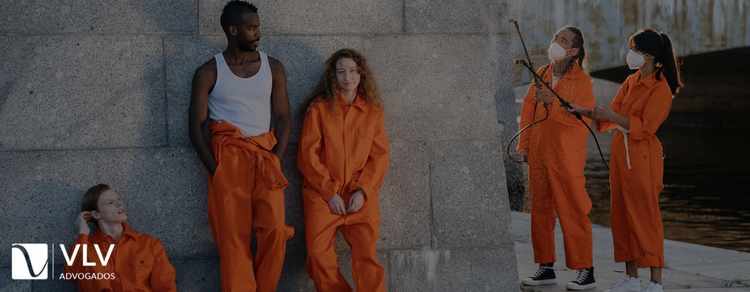 Perfil geral dos acusados no sistema penal brasileiro 1 Imagem representando perfil geral dos acusados.