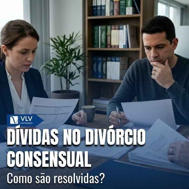 Blog 20 As dÃvidas no divórcio são divididas conforme o regime de bens e a origem da obrigação.