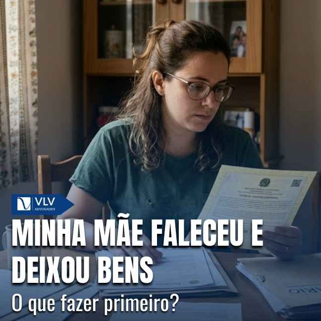 Blog 19 Capas Cami 2026 03 16T093539.603