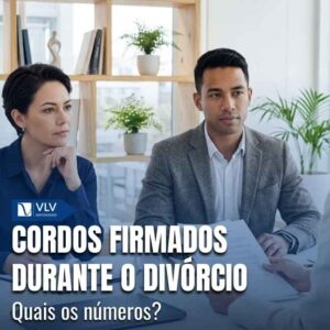 Família 15 Uma parcela significativa dos divórcios no Brasil envolve algum nível de consenso entre as partes, especialmente nos casos extrajudiciais.