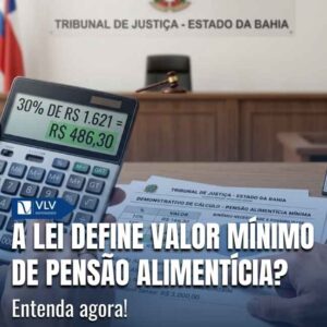 Família 15 Não existe valor mínimo fixo de pensão alimentícia na legislação brasileira.