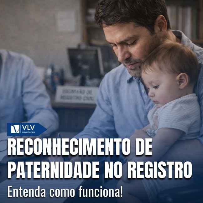 Blog 15 Capas Cami 53