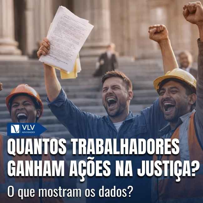 Blog 14 Capas Cami 71