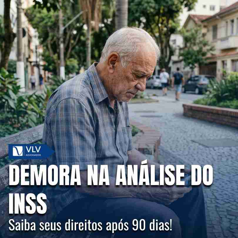 analise do inss