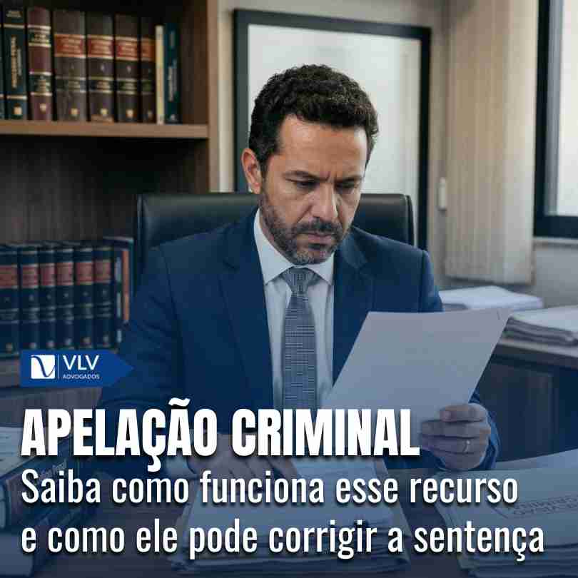Criminal 15 apelacao criminal