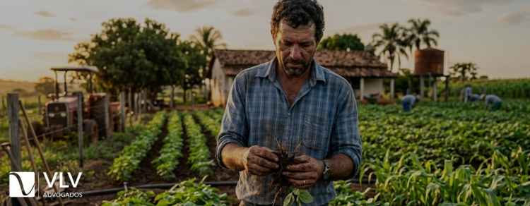 funcao social da propriedade