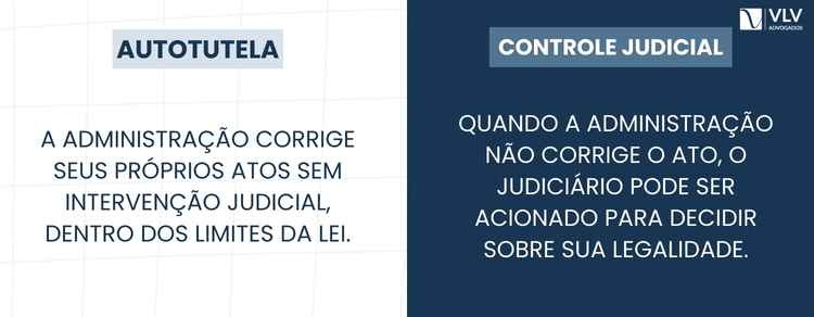Autotutela: entenda o princípio e sua importância 2 image 66