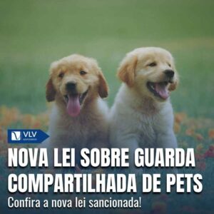 Nova lei da guarda compartilhada de pets
