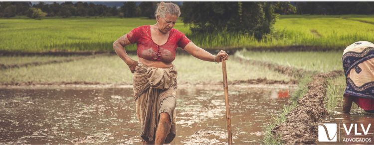 mulher tendo aposentadoria rural com poucas provas formais