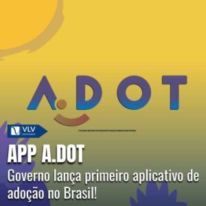 Família 9 aplicativo de adocao de criancas e adolescentes no Brasil 1