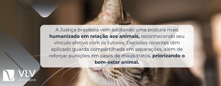 imagem epxlicando como a Justiça tem tratado os animais nas relações de família