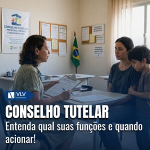 conselho tutelar 2