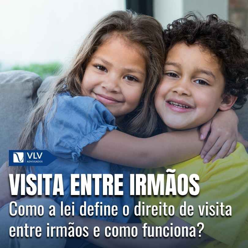 dois irmãos representando o direito de visita entre eles
