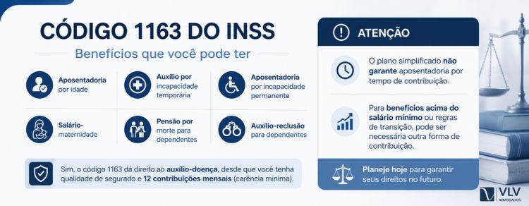 Código 1163 do INSS: como fazer o pagamento sem erro? 2 imagem representando o que é o código 1163