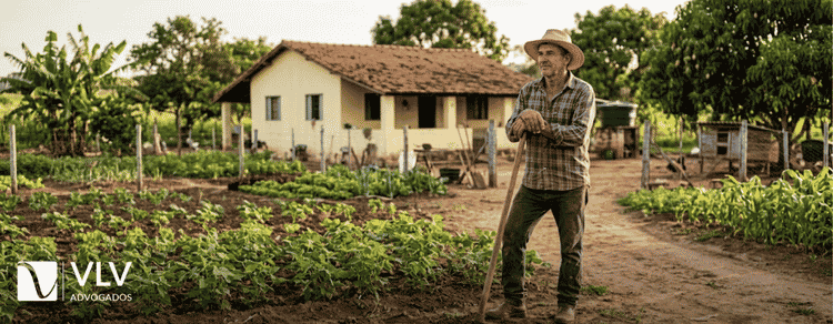 Usucapião Rural: o que é, requisitos e quanto custa 1 Usucapião Rural: o que é, requisitos e quanto custa